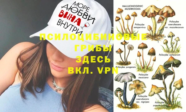 индика Алексеевка