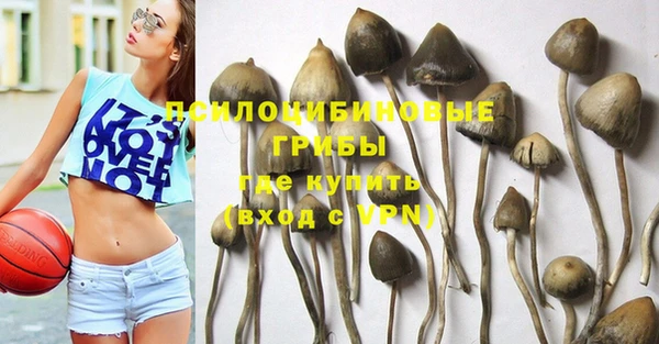 прущие крисы Алексин