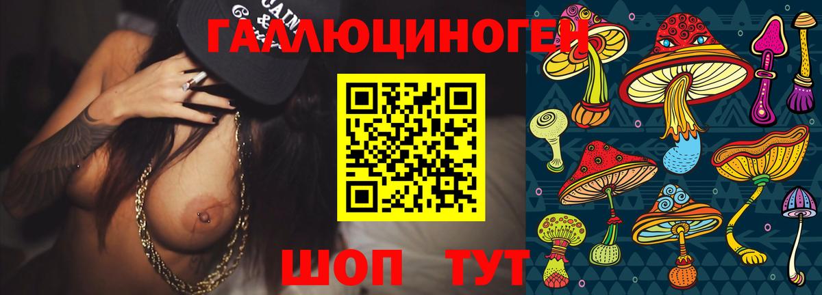 Галлюциногенные грибы Psilocybe Лысьва