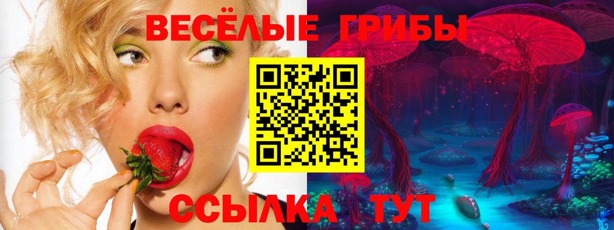 Псилоцибиновые грибы Cubensis  Вход с VPN  Лысьва  Псилоцибиновые грибы прущие грибы 